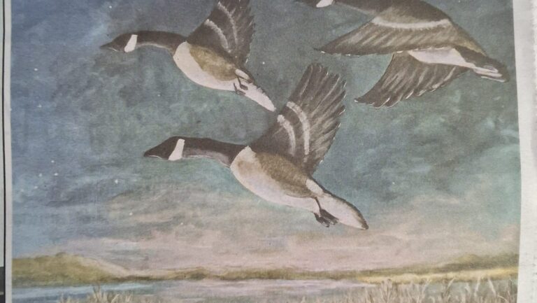 Wethersfield Life Cover